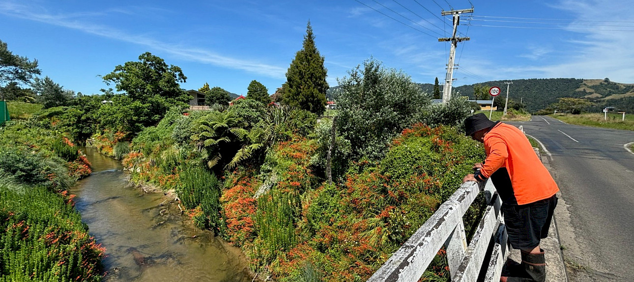 Te Raparapa-ā-Hoe Stream, photo supplied by Lara Taylor (E Oho! Awakening Aotearoa).