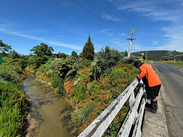 Te Raparapa-ā-Hoe Stream, photo supplied by Lara Taylor (E Oho! Awakening Aotearoa).